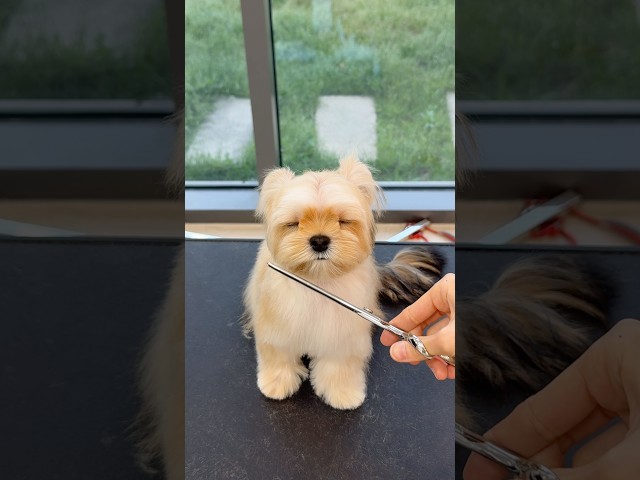 손님 여기서 주무시면 안돼요💤