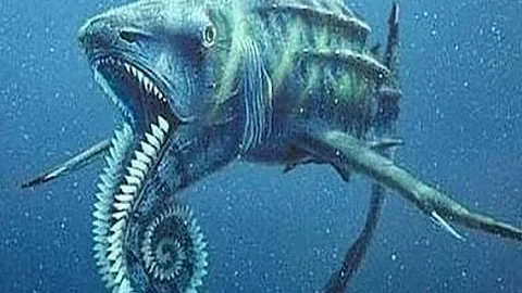 Top 10 strange sea creature you won't believe exist