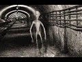 Вскрываются факты об НЛО о которых раньше  боялись говорить. Что скрывают Секретные подземные базы.