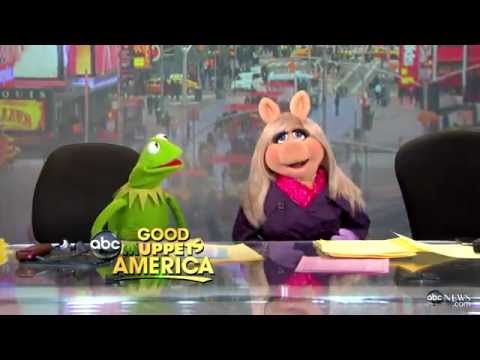 "Muppet Mania on GMA" (2/8) - The Good Morning America Show