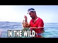 HARDCORE FISHING in Tor Sinai - Egypt 🎣 Fishing vlog