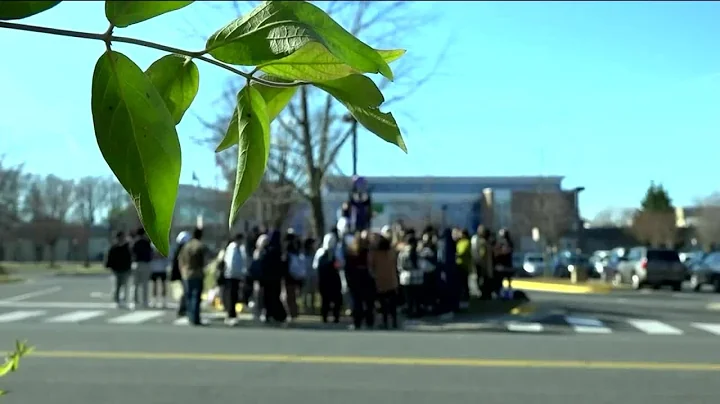 Students protest after Muslim student allegedly attacked at Virginia school