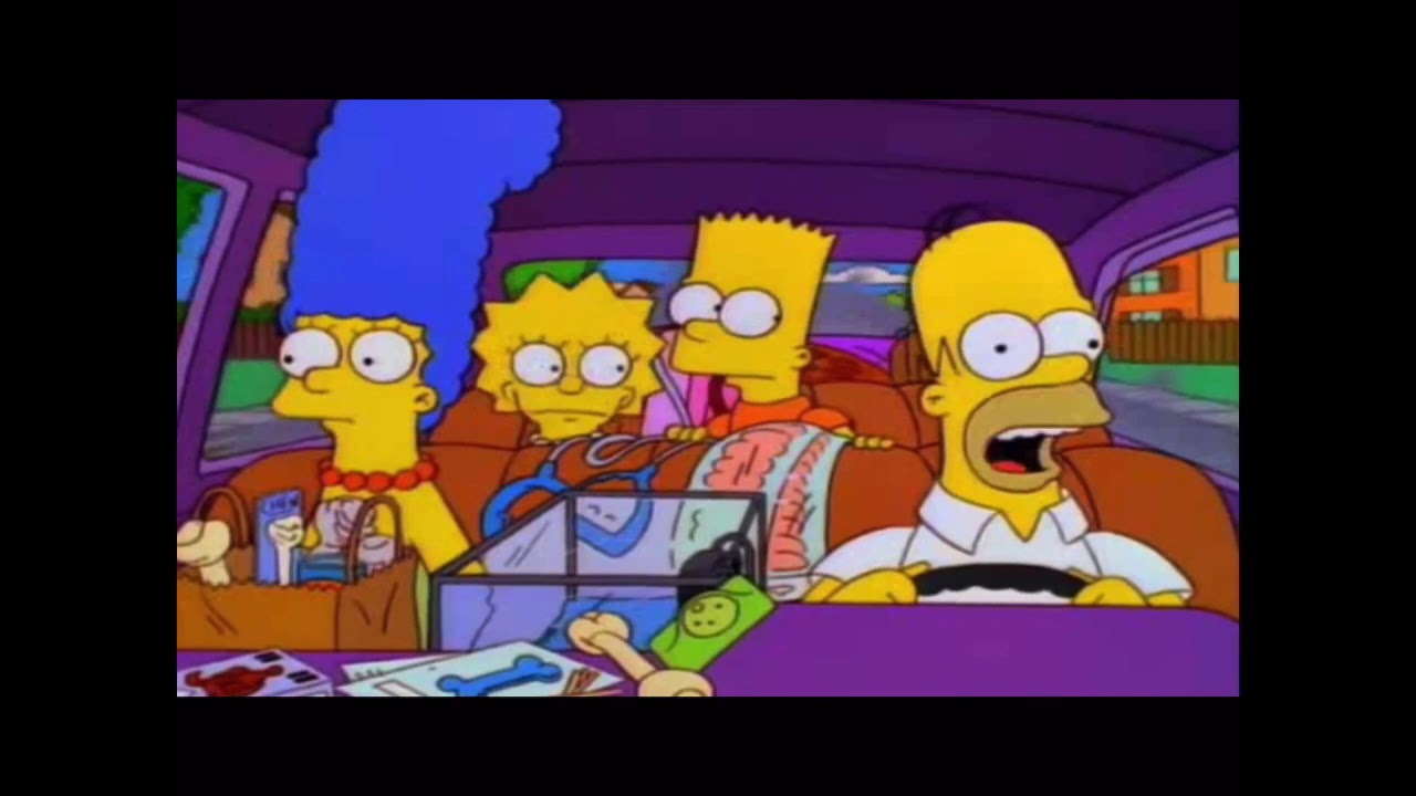 Simpsons Tracking The Simpsons At The Dog Track - YouTube