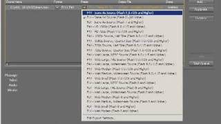 Adobe Flash CS4 Video Tutorial part 3