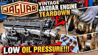 Vintage Jaguar ENGINE TEARDOWN!! | LOW OIL PRESSURE Problem Solved