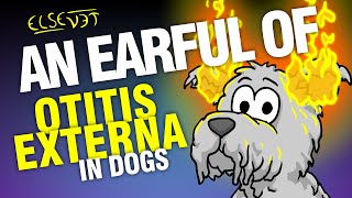 An Earful of Otitis Externa in Dogs