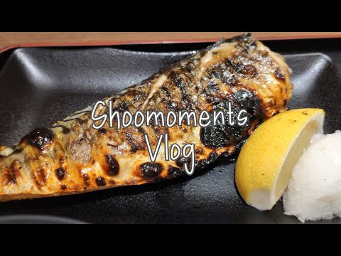 Simple Vlog: Saba Fish Bento, Home Gardening Part 2 (Bayam), Steam Salmon Fish Head