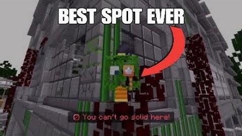 Best Hiding Spot On The Hive