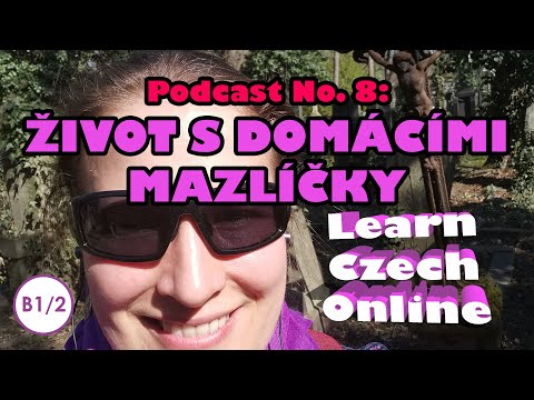 Video: 8 Výzev Pro Dnešní Učitele ESL (a Jak S Nimi Zacházet) - Matador Network