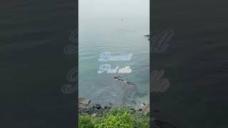 강원도 삼척 비치힐 풀빌라🤍