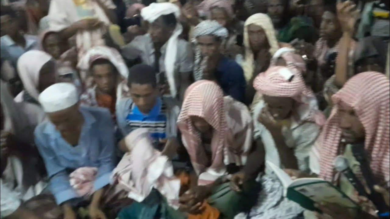 ሙስጠፋ በድረል ከማላ | የ በድሬ ሐሪማ መንዙማ ቁጥር ሁለት አውታድ | مصطفى ب در الكمال 1497 የነብዩ ሙሀመድ ﷺ መውሊድ በድሬ ላይ