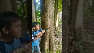 gun bullet gel war di hutan jati