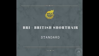 WCF Breed Standard: BRI - British Shorthair screenshot 4