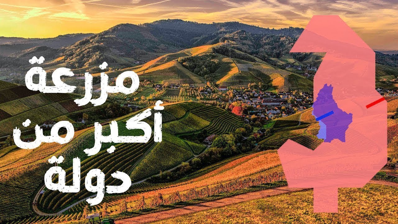 أكبر 10 مزارع  ماشية في العالم   مزرعة مساحتها أكبر من مساحة دول