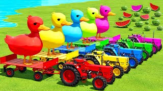 TRANSPORT DUCKS & WATERMELONS WITH CASE & BUHRER COLORED TRACTORS  Farming Simulator 22