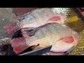 Popular big tilapia fish cutting in fish market  amazing fish cutting skills