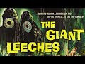 Attack Of The Giant Leeches (1959) ROGER CORMAN