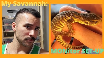 BABY SAVANNAH Monitor SETUP: ** My 3 Monitors! ** (2020)