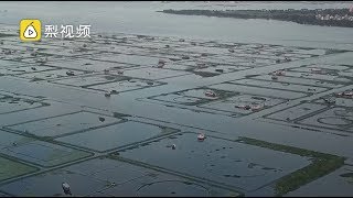 探访：去阳澄湖能吃到正宗大闸蟹吗