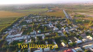 картинка: Туй Дар Шахритуз 20.10.2024