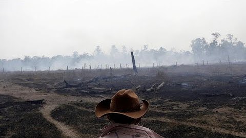 Defending the Amazon forest from deforestation 