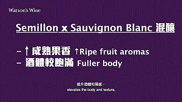 Che tipo di vino e il Sauvignon?
