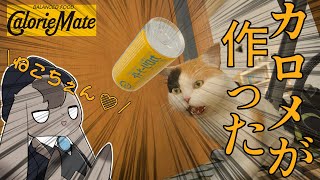 【 CalorieMate 】声帯が豪華すぎるカロリーメイトが3億分の1であるらしい【 Vtuber 】