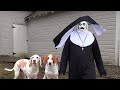 Dogs vs the nun prank can these funny dogs stop devil nun valak