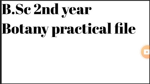 B.Sc 2nd year, Botany practical file