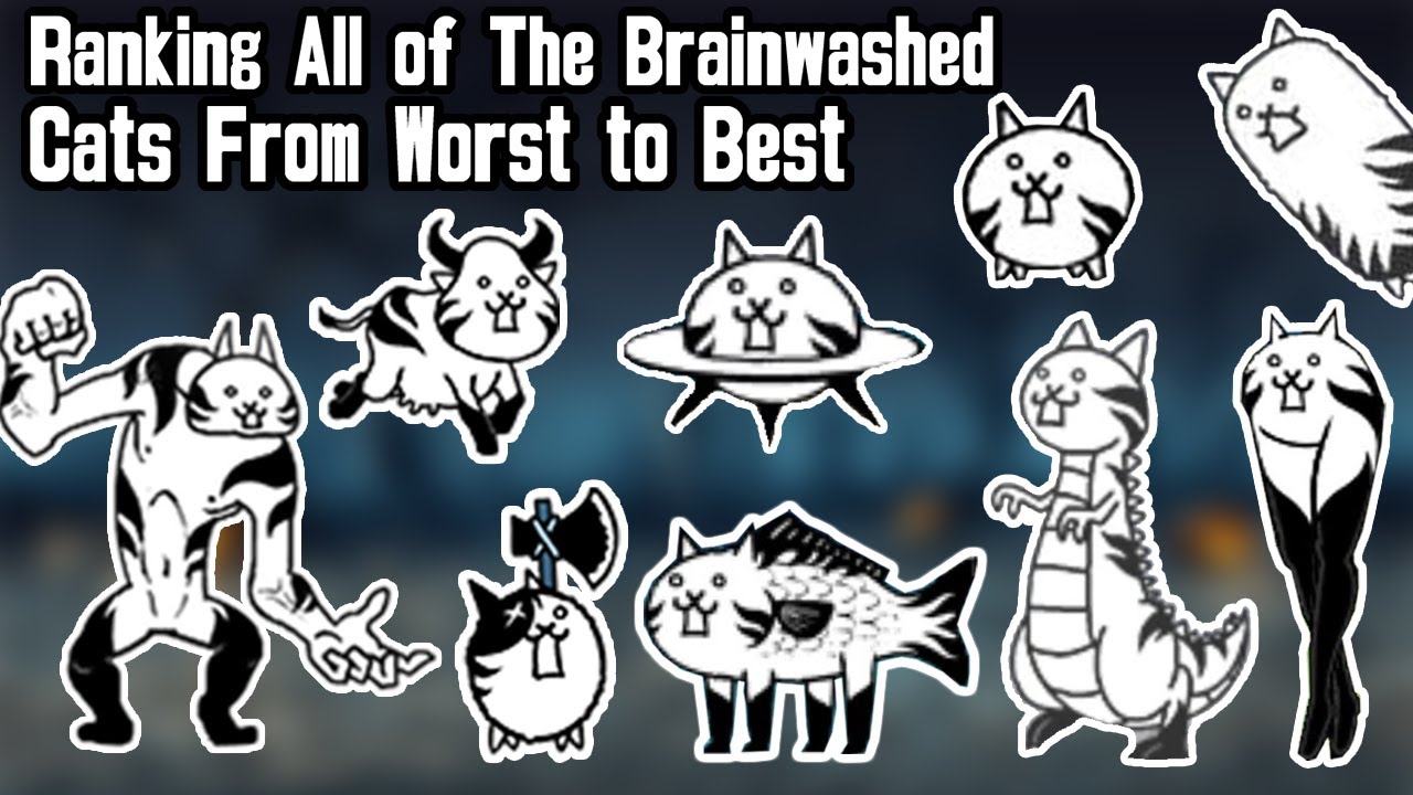 Ranking All Brainwashed Cats From Worst To Best - Youtube