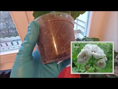 Мой универсальный состав