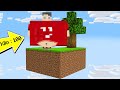 MİNECRAFT`TA YEDİKÇE 100 KİLO YAŞAMAK