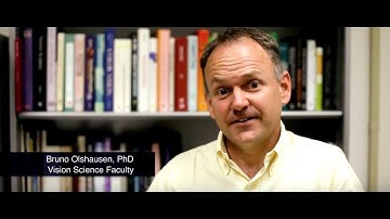 Professor Bruno Olshausenon Computational Models of Sensory Coding and Visual Perception