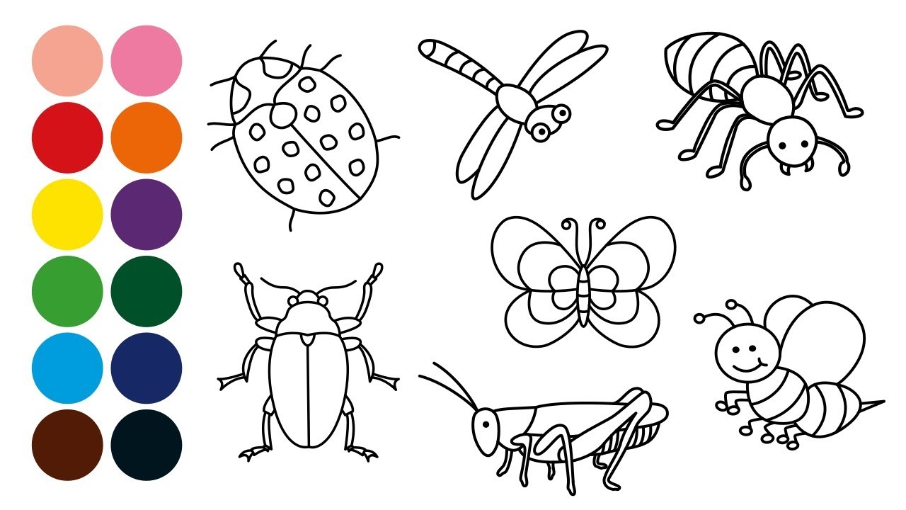 ANIMALES INSECTOS dibujar y colorear para niños - Dibujar animales con  Mozart - thptnganamst.edu.vn