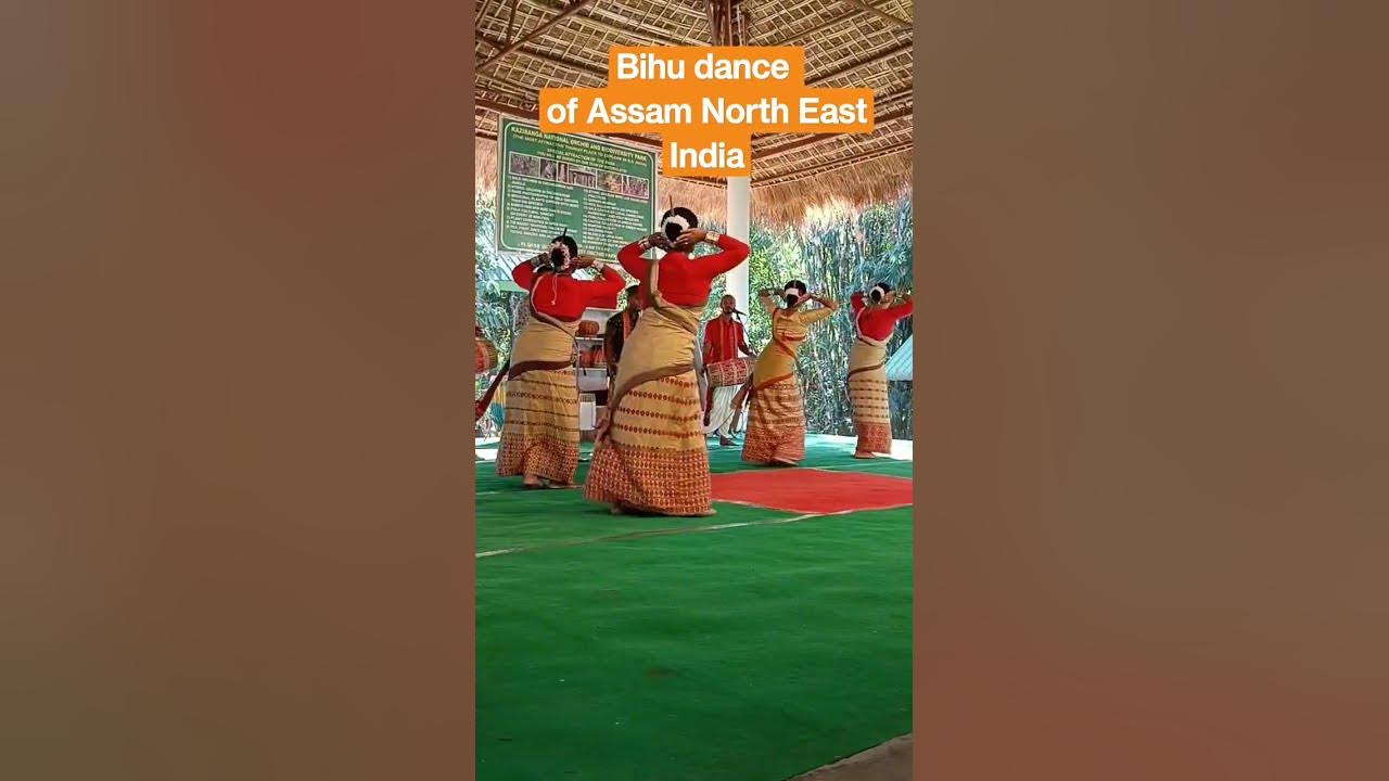 Bihu dance is an indigenous folk dance of Assam during Bihu festival and Assamese culture
