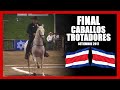 🏆🐎 FINAL Competencia de Caballos 2017 Guápiles