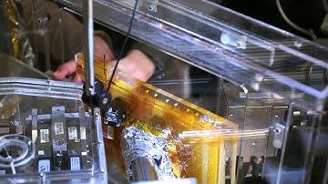 How two paleontologists got interested in science