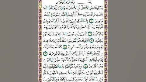 سورة الأنفال ص177/المنشاوي