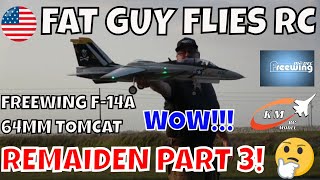 FREEWING F14A  TWIN 64MM TOMCAT REMAIDEN PT 3 by  Fat Guy Flies RC