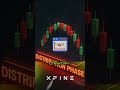 XFINE — там, где момент — это шанс.