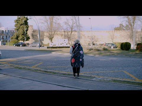 თელავში ავტობუსებისთვის ახალი გაჩერებები და საინფორმაციო დაფები მოეწყობა