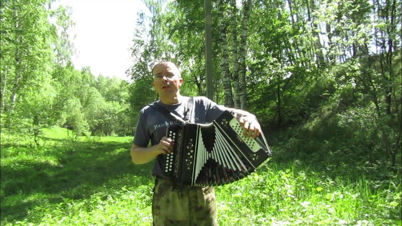 Светлозорька. Светлозорька. Над полями песня бардина. Светлозорька. Над полями песня бардина.