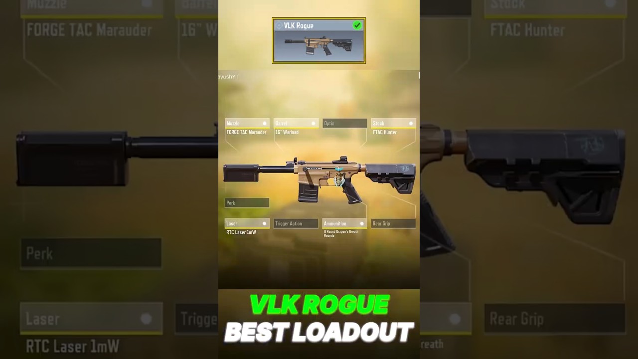 VLK ROGUE BEST LOADOUT 