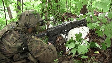 1st Regiment, Advanced Camp | FTX