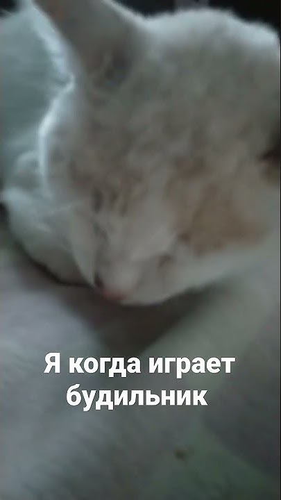 я когда играет будильник - YouTube
