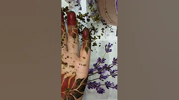 خلطة حناء نقش العرائس 