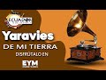 Yaravies de mi tierraeym plus