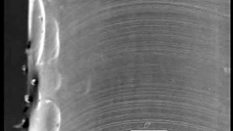 SEM study of slip in undeformed cadmium single crystal, short version