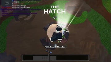 How to get egg in map DIG IT [ event the hatch ] #roblox #thehatch #egg