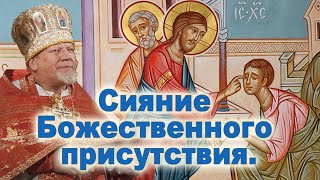 Сияние Божественного присутствия. Проповедь свящ. Георгия Полякова в 4 неделю по Пасхе, о слепом